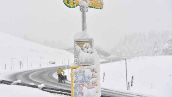 媒体：奥地利大雪导致居民断电并引发交通事故 - 俄罗斯卫星通讯社