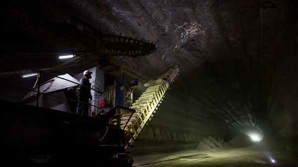 РФ планирует увеличить добычу редких и редкоземельных металлов - 俄罗斯卫星通讯社