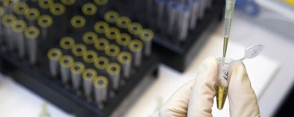 Лаборатория - 俄罗斯卫星通讯社