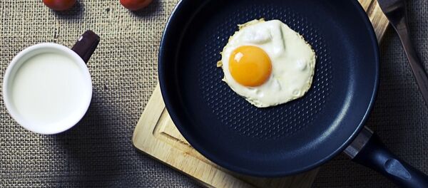 Яичница на сковородке - 俄罗斯卫星通讯社