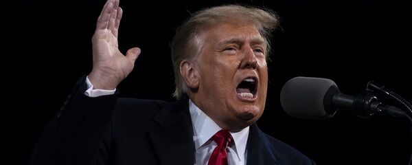 Дональд Трамп в штате Джорджия, 5 декабря 2020 - 俄羅斯衛星通訊社