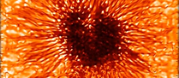 Солнечное пятно размером с Землю - 俄罗斯卫星通讯社