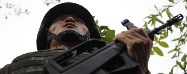 Солдат китайской армии НОАК - 俄罗斯卫星通讯社