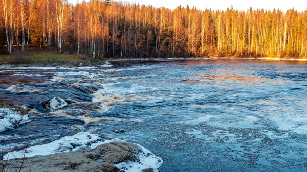 Зима в Карелии - 俄羅斯衛星通訊社