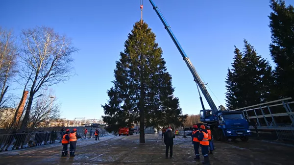 俄罗斯主新年枞树运抵莫斯科克里姆林宫教堂广场 - 俄罗斯卫星通讯社