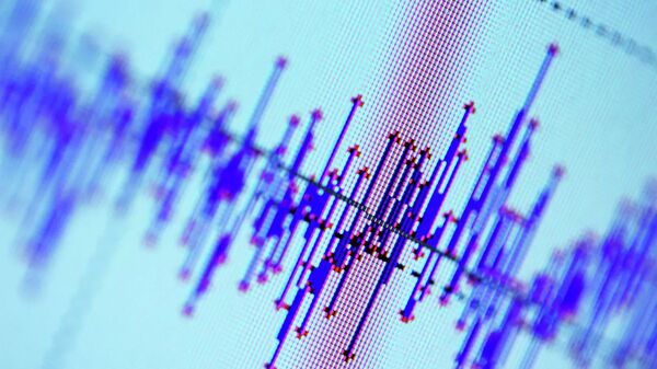 美國地質勘探局：智利海岸附近發生5.5級地震 - 俄羅斯衛星通訊社