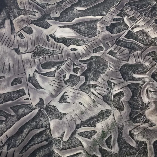 Снимок Dryland Farming, Study 7 британского фотографа Yi Sun, победивший в категории Nature конкурса Earth Photo 2020 Снимок Dryland Farming, Study 7 британского фотографа Yi Sun, победивший в категории Nature конкурса Earth Photo 2020 - 俄罗斯卫星通讯社