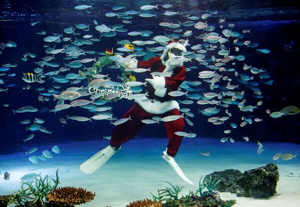 潜水员在东京阳光水族馆扮成圣诞老人 - 俄罗斯卫星通讯社