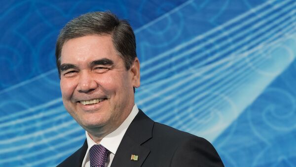 媒體：土庫曼斯坦總統駕駛新戰機 - 俄羅斯衛星通訊社