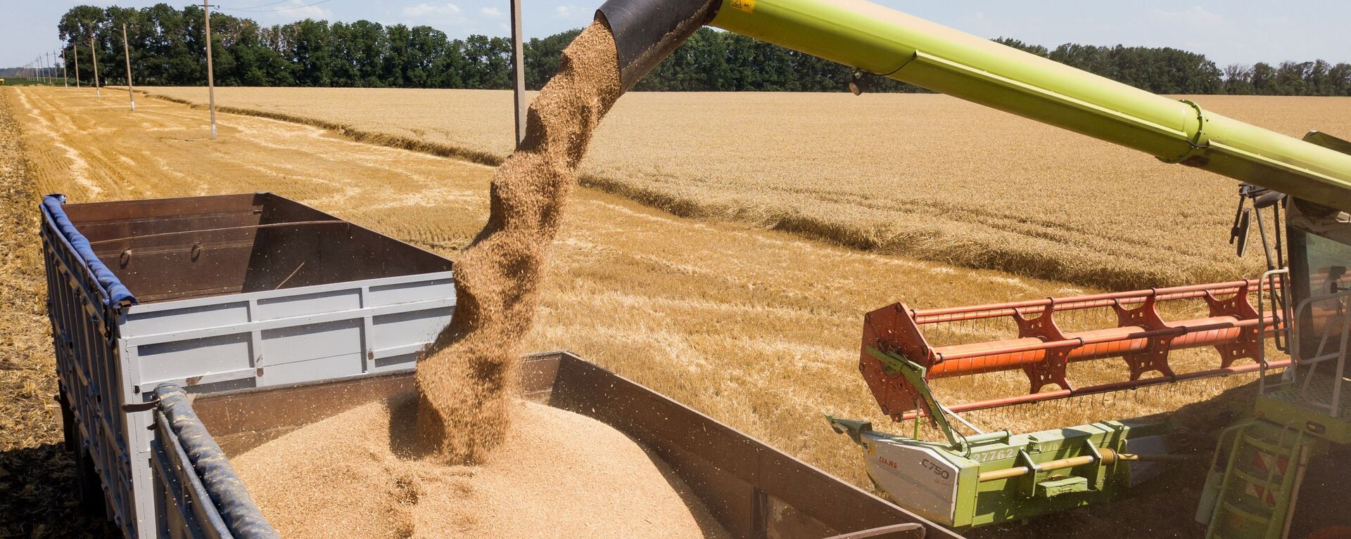 俄總統普京表示，俄糧食豐收在望，俄方可向國際市場供應5千萬噸穀物 - 俄羅斯衛星通訊社, 1920, 24.06.2022