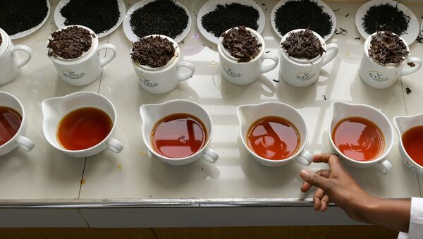 Дегустатор готовит различные образцы чая на чайной фабрике в Кении - 俄羅斯衛星通訊社
