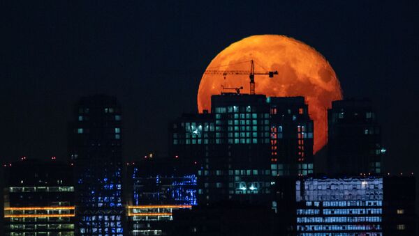 Полнолуние, наблюдаемое в Москве - 俄罗斯卫星通讯社