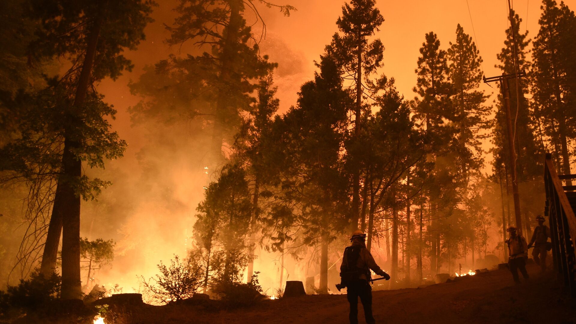 美国亚利桑那州自然火灾面积超过4.6万公顷 - 俄罗斯卫星通讯社, 1920, 08.06.2021