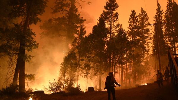 加利福尼亞州州長宣佈發生重大林火的縣進入緊急狀態 - 俄羅斯衛星通訊社