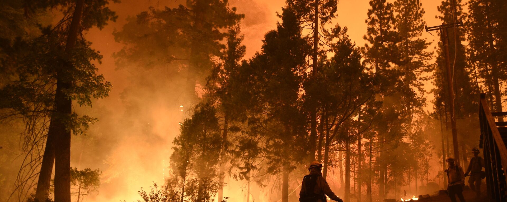 Пожарные тушат лесной пожар в Национальном заповеднике Сьерра, Калифорния - 俄罗斯卫星通讯社, 1920, 21.07.2021