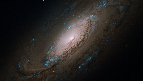 Галактика NGC 5005 в созвездии Гончие Псы - 俄罗斯卫星通讯社