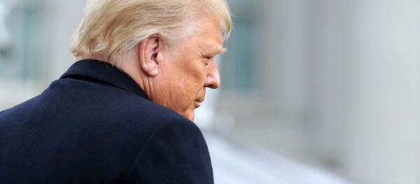 Президент США Дональд Трамп - 俄罗斯卫星通讯社