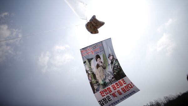 Пропагандистские листовки против северокорейского лидера Ким Чен Ына - 俄罗斯卫星通讯社