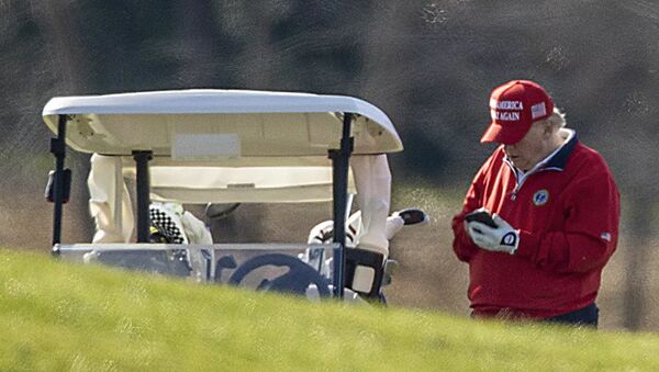 US President Donald Trump makes a phone call as he golfs at Trump National Golf Club on November 26, 2020 in Sterling, Virginia - 俄罗斯卫星通讯社