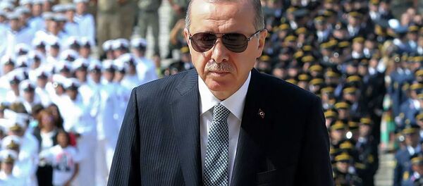 Президент Турции Реджеп Тайип Эрдоган - 俄罗斯卫星通讯社