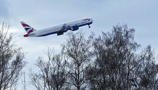 Самолет авиакомпании British Airways - 俄罗斯卫星通讯社