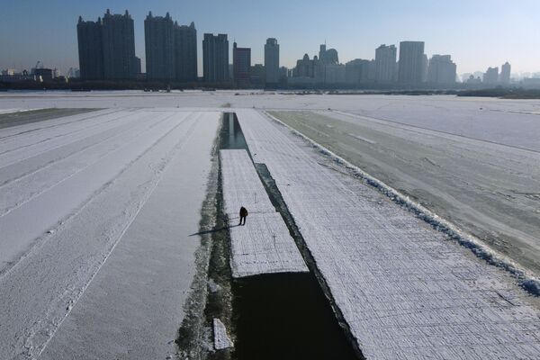 探秘哈爾濱冰雪雕塑製作全過程 - 俄羅斯衛星通訊社