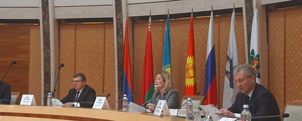 欧亚经济联盟国家将合力打击盗版 - 俄罗斯卫星通讯社