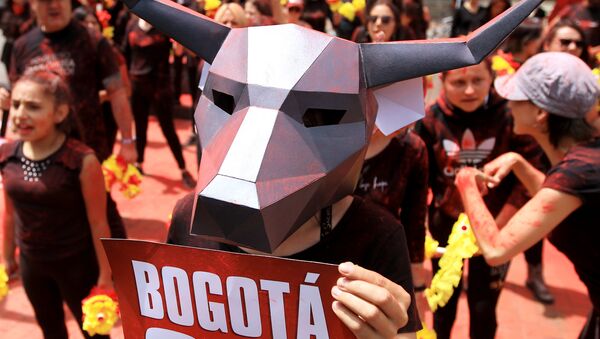 Участник акции протеста против сезона корриды в Боготе, Колумбия - 俄罗斯卫星通讯社