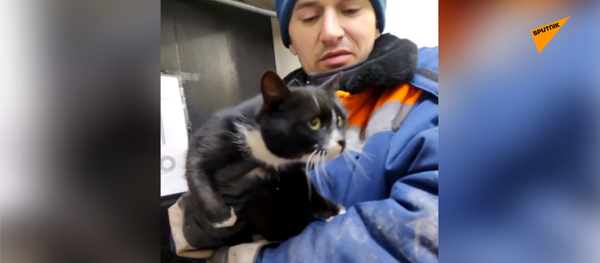 垃圾分揀員在傳送帶上發現了這只小貓 - 俄羅斯衛星通訊社