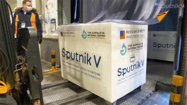 装载有“卫星-V”疫苗的飞机已飞往阿根廷 - 俄罗斯卫星通讯社