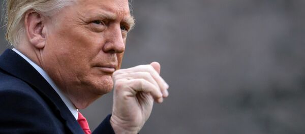 特朗普撤銷對沃爾夫出任國土安全部部長的提名 - 俄羅斯衛星通訊社