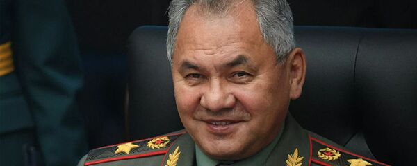 Министр обороны Сергей Шойгу - 俄罗斯卫星通讯社