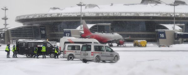  Аэропортовые службы в аэропорту Внуково в Москве. - 俄羅斯衛星通訊社