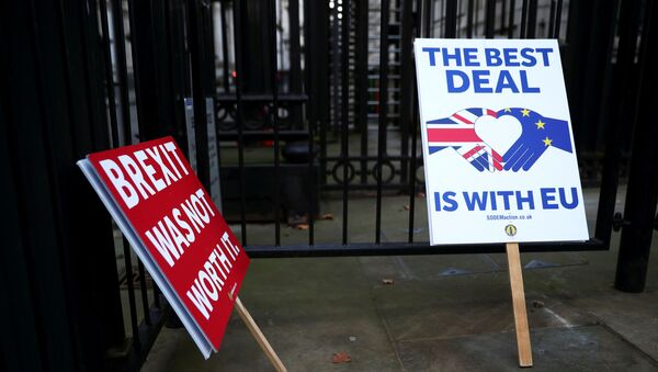 Anti-Brexit signs are pictured at the gates of Downing Street in London, Britain December 24, 2020 - 俄罗斯卫星通讯社
