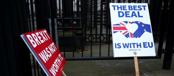 Anti-Brexit signs are pictured at the gates of Downing Street in London, Britain December 24, 2020 - 俄罗斯卫星通讯社