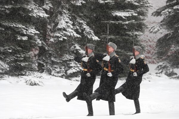 Солдаты почетного караула в Александровском саду в Москве - 俄罗斯卫星通讯社