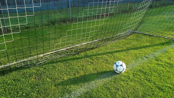 Футбольный мяч в воротах - 俄罗斯卫星通讯社