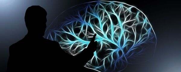 Связи в мозгу - 俄羅斯衛星通訊社