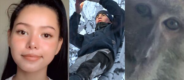 Главная - 俄罗斯卫星通讯社