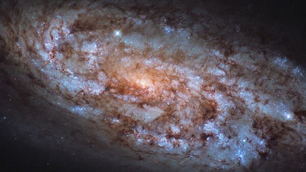 Галактика NGC 1792 в созвездии Голубь - 俄羅斯衛星通訊社