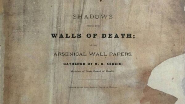 В США показали книгу, которая действительно убивает - 俄羅斯衛星通訊社