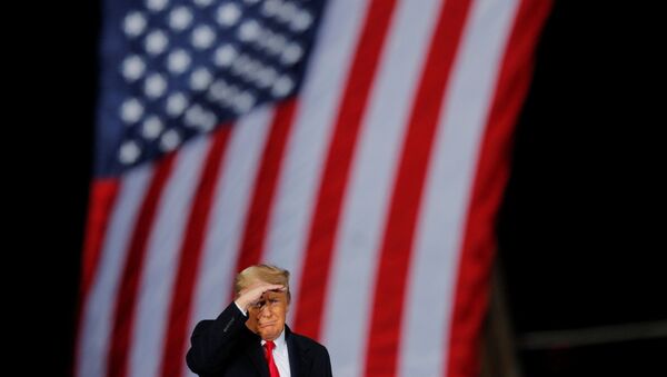 Президент США Дональд Трамп перед флагом США во время кампании в штате Джорджия - 俄羅斯衛星通訊社