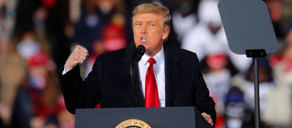 Президент США Дональд Трамп во время кампании в штате Джорджия - 俄罗斯卫星通讯社