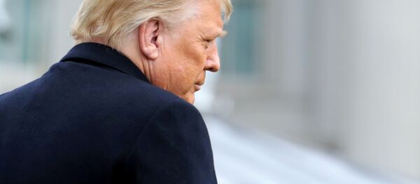 Президент США Дональд Трамп в Вашингтоне  - 俄羅斯衛星通訊社