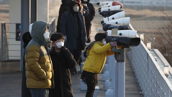 Люди в защитных масках у биноклей недалеко от границы с Северной Кореей, Южная Корея - 俄羅斯衛星通訊社
