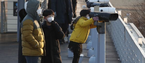 Люди в защитных масках у биноклей недалеко от границы с Северной Кореей, Южная Корея - 俄羅斯衛星通訊社