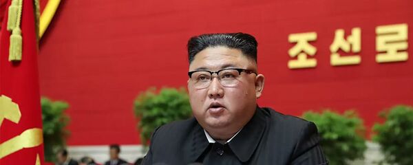 Лидер КНДР Ким Чен Ын - 俄罗斯卫星通讯社