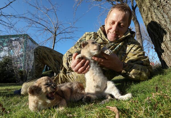 泰甘动物园园长奥列格·祖布科夫和幼狮。 - 俄罗斯卫星通讯社