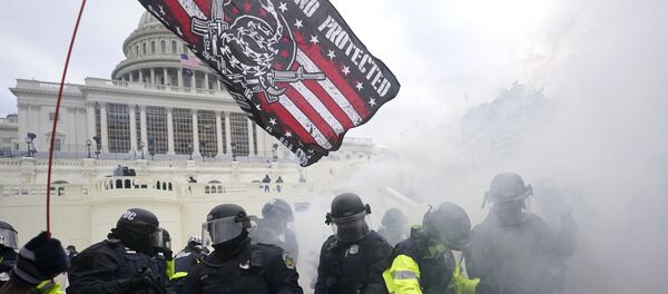 протестующие перед Капитолием - 俄罗斯卫星通讯社
