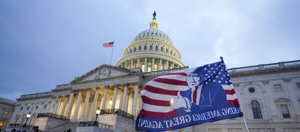 Беспорядки в Вашингтоне - 俄羅斯衛星通訊社